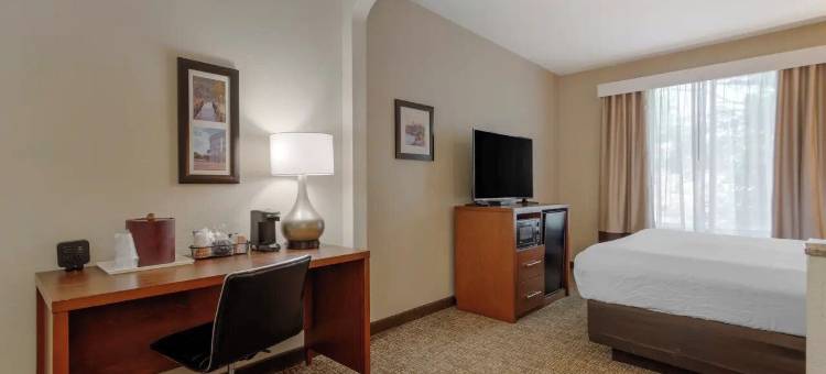 哥伦布州立大学舒适套房酒店(Comfort Suites Columbus State University Area)图片