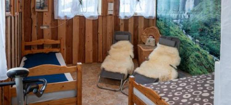 伯格霍夫瑟纳加特农家乐(Berghof Thurnergut)图片