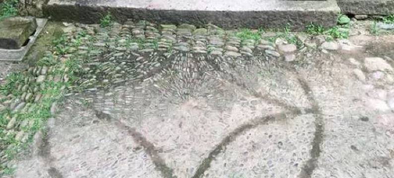 缙云河阳隐居河畔民宿图片