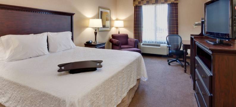 萨克拉门托机场纳托马斯欢朋套房酒店(Hampton Inn & Suites by Hilton Sacramento-Airport-Natomas)图片