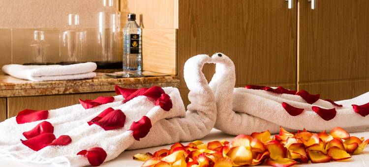 内罗毕迦南皇家郁金香酒店(Royal Tulip Canaan Nairobi)图片