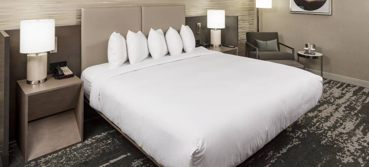 希尔顿逸林酒店-波士顿洛根机场切尔西(DoubleTree by Hilton Boston Logan Airport Chelsea)图片