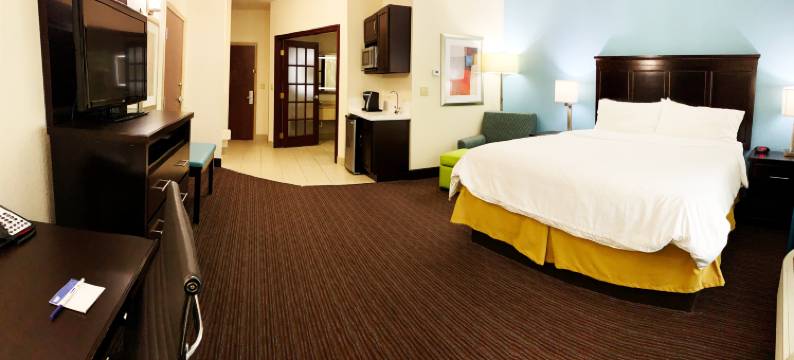 智选假日套房酒店盖恩斯维尔(Holiday Inn Express & Suites GAINESVILLE by IHG)图片