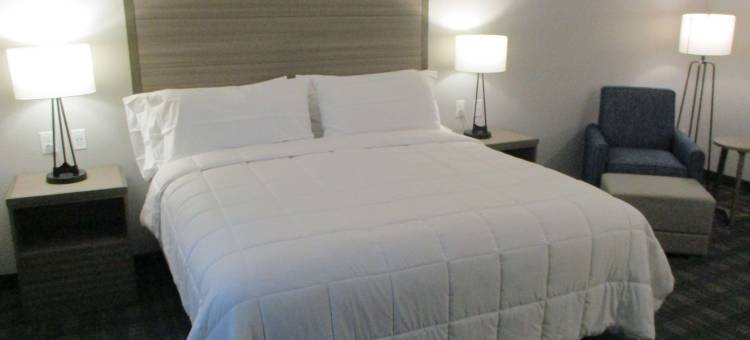 贝斯特韦斯特优质威尔斯波因特酒店(Best Western Plus Wills Point)图片