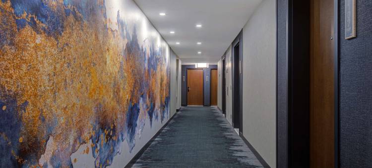 蒙特利尔市中心Homewood套房酒店(Homewood Suites by Hilton Montreal Downtown)图片