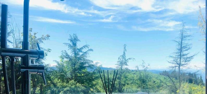 YAN2度假别墅(峨洪路1号分店)图片