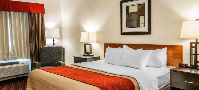 雅芳-印第安纳波利斯西舒适酒店(Comfort Inn Avon-Indianapolis West)图片