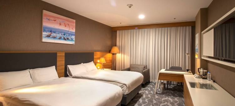 安卡拉因瑟克希尔顿逸林酒店(DoubleTree by Hilton Ankara Incek)图片