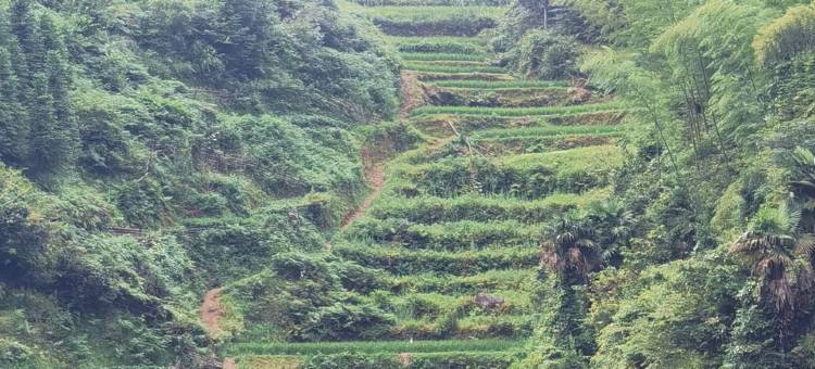 天湖观山民宿图片