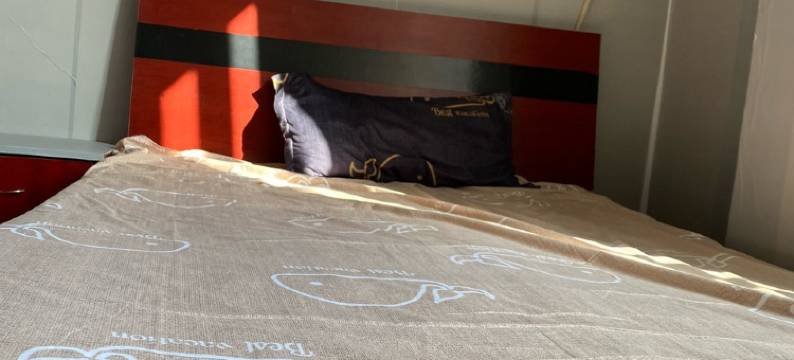 宾宾特色民宿(新德西路分店)图片