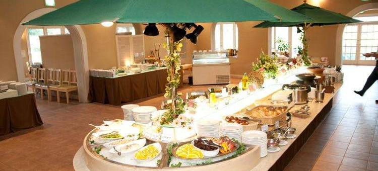 蓝莓山丘酒店胜浦(Hotel Blueberry Hill Katsuura)图片