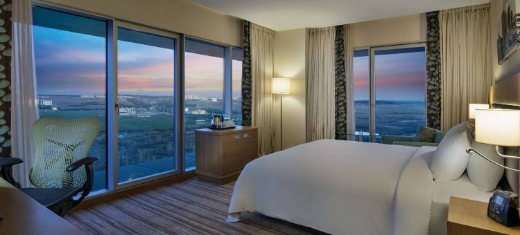 温德姆花园迪亚巴克尔(Wyndham Garden Diyarbakir)图片