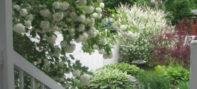 玛格罗莉亚住宿加早餐旅馆(Magnolia B&B)图片