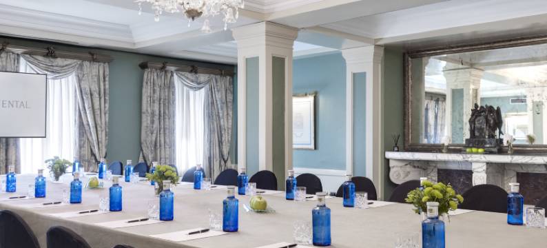 InterContinental Hotels 马德里洲际酒店(InterContinental Madrid)图片