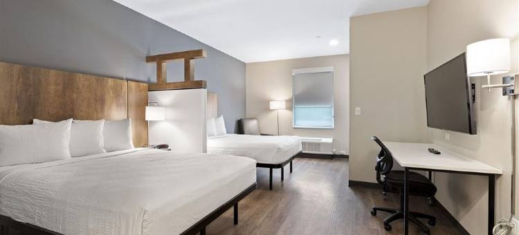 美国延期逗留套房科隆尼亚尔科隆尼尔海次堡(Extended Stay America Suites - Colonial Heights - Fort Lee)图片