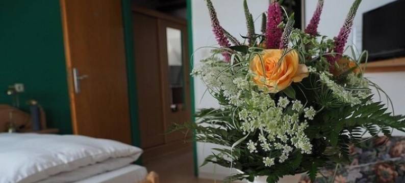 梅耶旅馆(Ferienhof Meyer)图片