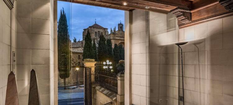 萨拉曼卡卡斯泰拉诺斯宫NH典藏酒店(NH Collection Salamanca Palacio de Castellanos)图片