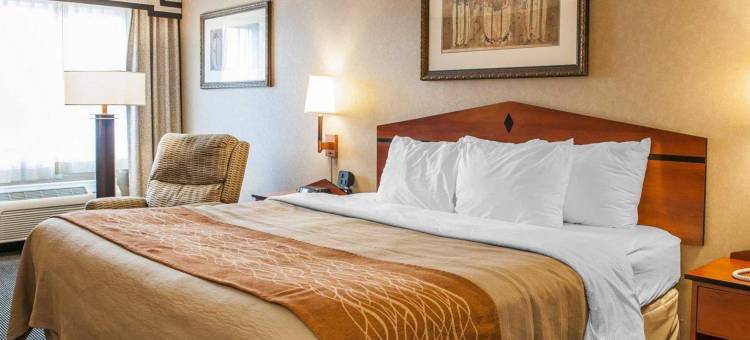 舒适酒店爱丁堡-哥伦布(Comfort Inn Edinburgh - Columbus)图片