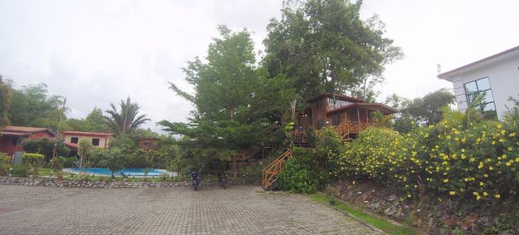 婆罗洲树屋酒店(Borneo Tree House)图片