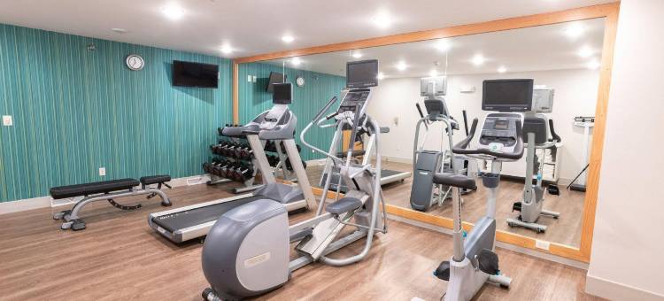 智选假日套房酒店铁山(Holiday Inn Express & Suites Iron Mountain)图片