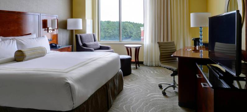 纽波特纽斯市中心万豪酒店(Newport News Marriott at City Center)图片