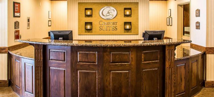 奥什科什舒适套房酒店(Comfort Suites)图片