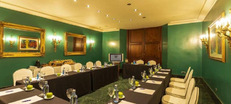 斯考特图德米尔宫酒店(Sercotel Palacio de Tudemir)图片