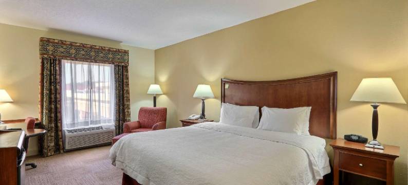 希尔顿欢朋套房酒店-萨凡纳95号州际公路南出口(Hampton Inn & Suites Savannah - I-95 South - Gateway)图片