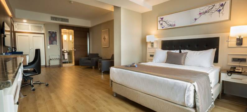 迪亚巴克尔丽笙蓝标酒店(Radisson Blu Hotel Diyarbakir, Turkey)图片