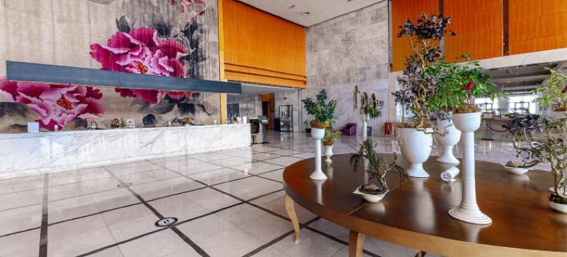 第比利斯华凌帕佛伦斯酒店(Hotels & Preference Hualing Tbilisi)图片