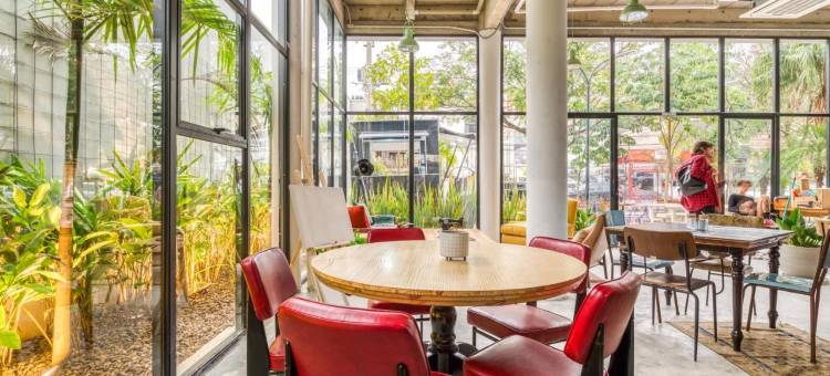 Selina Madalena Sao Paulo图片