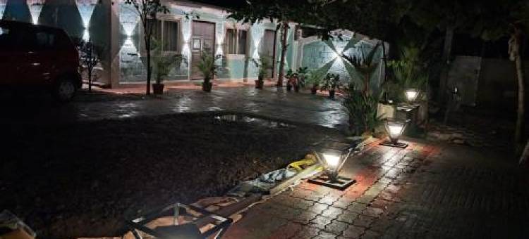 Serene Blossom Valley图片