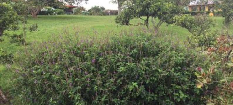 Cabinas Lindo Horizonte图片