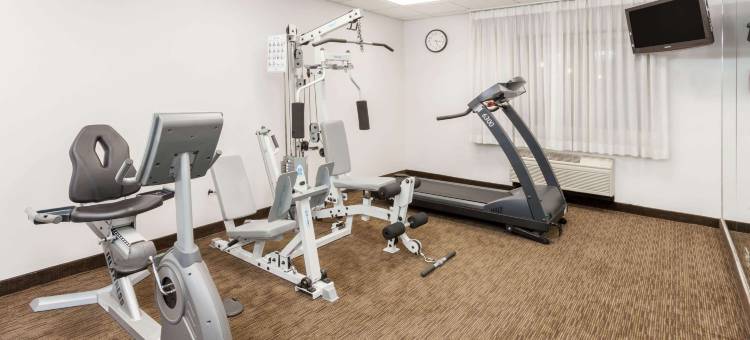 阿灵顿高地戴斯套房酒店(Days Inn & Suites by Wyndham Arlington Heights)图片