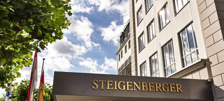 巴特洪堡施柏阁酒店(Steigenberger Hotel Bad Homburg)图片