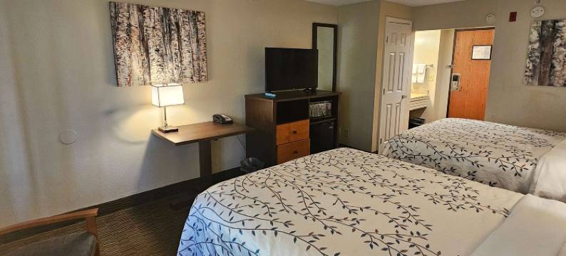 Americinn by Wyndham Birch Run/Frankenmuth(Americinn by Wyndham Birch Run/Frankenmuth)图片