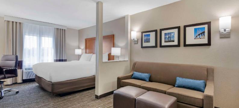 舒适套房酒店(Comfort Inn & Suites)图片