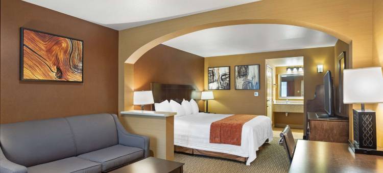 埃克塞特贝斯特韦斯特套房酒店(Best Western Exeter Inn  Suites)图片