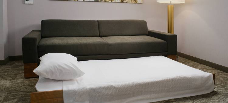 德克萨斯市SpringHill Suites酒店(SpringHill Suites Texas City)图片