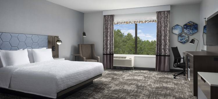 希尔顿欢朋套房酒店-达拉斯DFW机场西(Hampton Inn & Suites Dallas-DFW Arpt W-SH 183 Hurst)图片