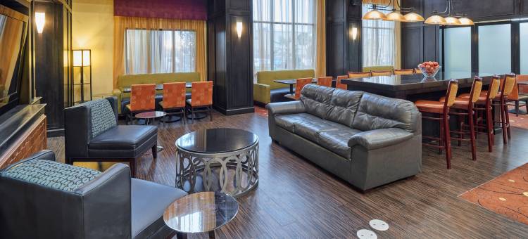 朗维尤北欢朋套房旅馆(Hampton Inn & Suites Longview North)图片