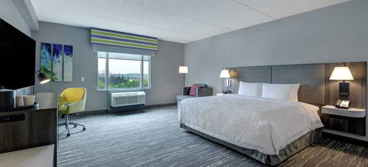希尔顿欢朋客房及套房多伦多伯灵顿酒店(Hampton Inn & Suites by Hilton Burlington Toronto)图片