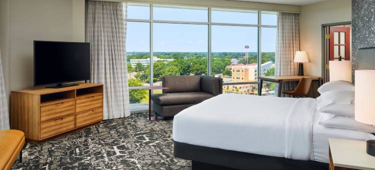 希尔顿安泊欢朋酒店及会议中心(Embassy Suites by Hilton Hampton Convention Center)图片