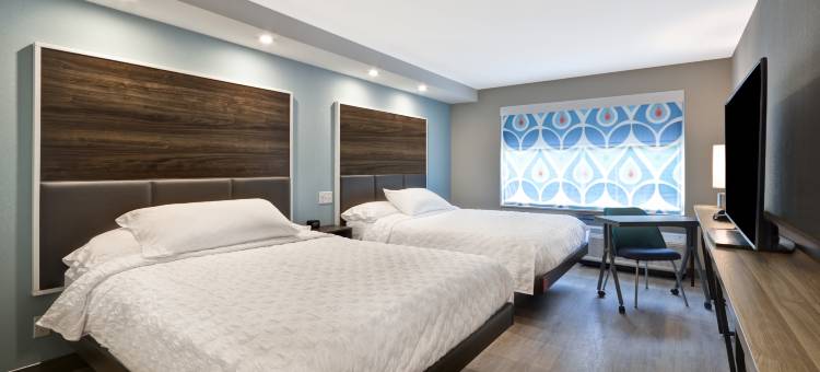 奇科皮斯普林菲尔德希尔顿Tru酒店(Tru by Hilton Chicopee Springfield)图片