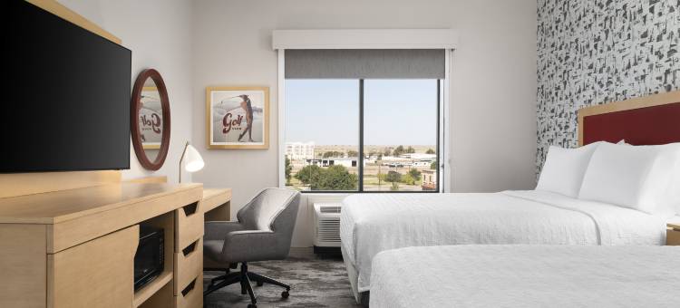 阿马里洛西欢朋酒店及套房(Hampton Inn & Suites by Hilton Amarillo West)图片
