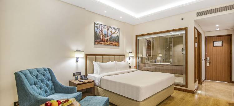 金色郁金香酒店贾兰达尔(Golden Tulip Jalandhar)图片