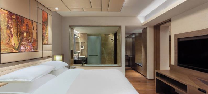 班加罗尔怀特菲尔德喜来登大酒店及会议中心(Sheraton Grand Bengaluru Whitefield Hotel & Convention Center)图片