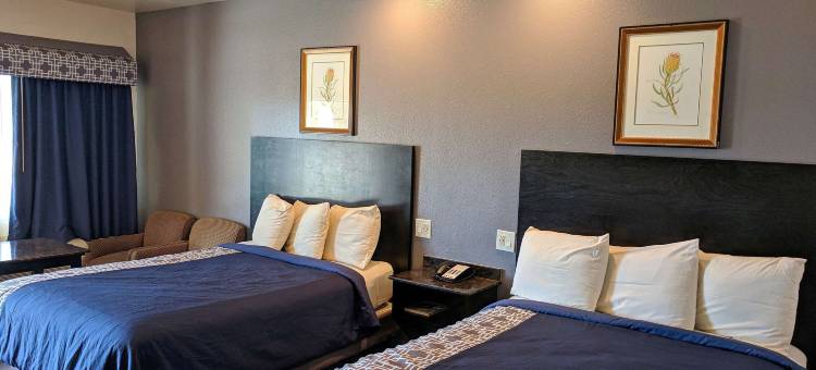 布朗斯维尔美洲最佳价值酒店(Americas Best Value Inn Brownsville/Padre Island Highway)图片