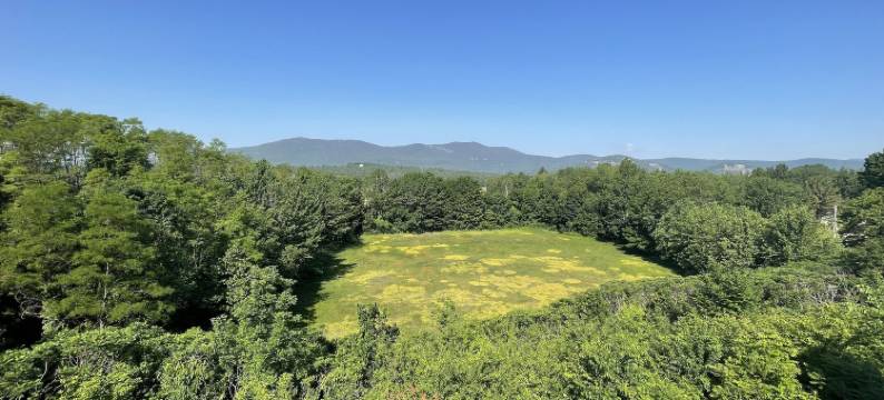 北康威山旅馆(North Conway Mountain Inn)图片