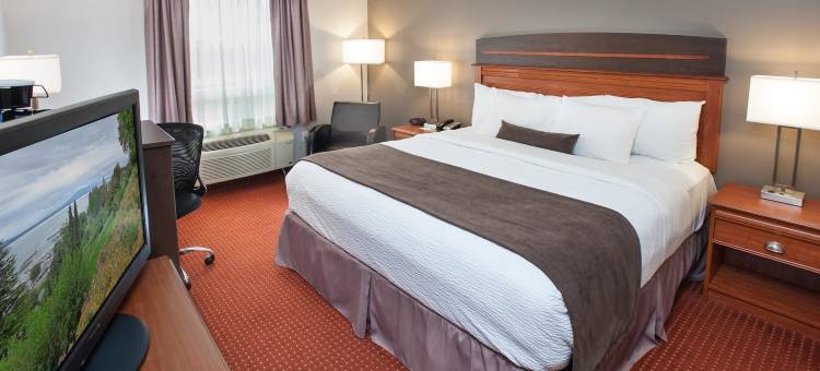 蒙克顿贝斯特韦斯特优质酒店(Best Western Plus Moncton)图片